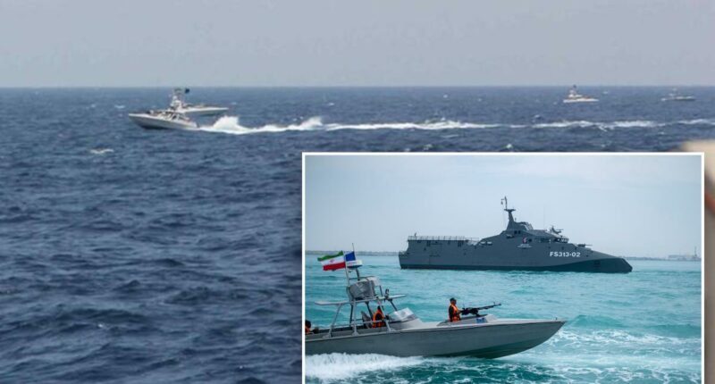 Iran doesnât need a navy to choke the worldâs oil lifeline â just a swarm of 'mosquito' boats